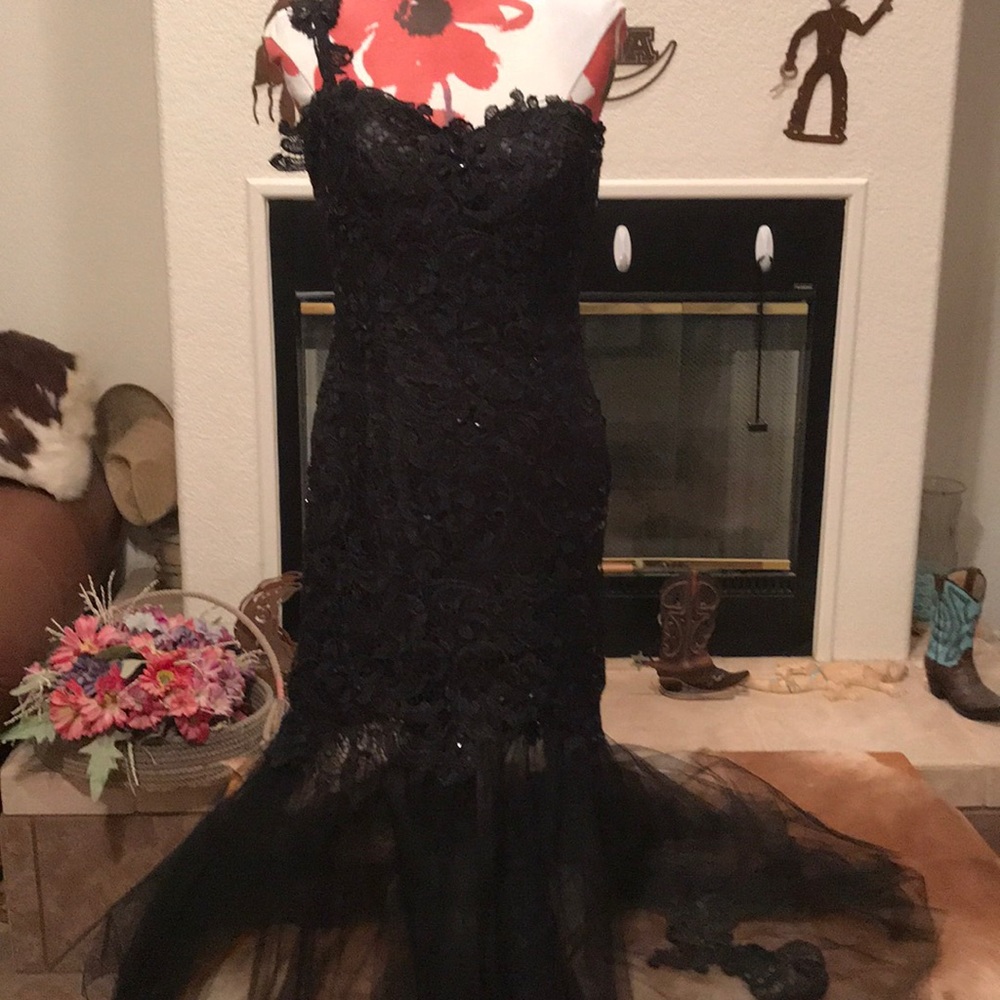 Beautiful lace and tulle gown!